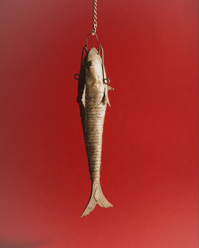 The Fish & The Chain — photo 5